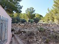 Maison de campagne partiellement réformée avec 4 chambres et 1 salle de bain in Real Estate Alicante