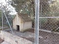 Maison de campagne partiellement réformée avec 4 chambres et 1 salle de bain in Real Estate Alicante