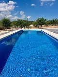 Atemberaubende virtuelle Neubauvilla etwas außerhalb von Pinoso in Real Estate Alicante