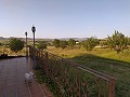 Excellent villa very close to Yecla in Real Estate Alicante