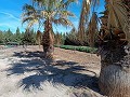 Villa grande de 4 dormitorios y 2 baños muy cerca de Yecla in Real Estate Alicante