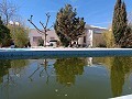 Villa grande de 4 dormitorios y 2 baños muy cerca de Yecla in Real Estate Alicante