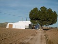 Amplia casa de campo con piscina y viñedo in Real Estate Alicante