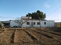 Amplia casa de campo con piscina y viñedo in Real Estate Alicante