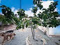 Charming villa located in Agost in Real Estate Alicante