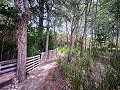 Prachtig veld met renovatiepotentieel in Almansa in Real Estate Alicante