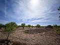 Prachtig veld met renovatiepotentieel in Almansa in Real Estate Alicante