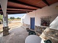 Prachtig veld met renovatiepotentieel in Almansa in Real Estate Alicante