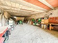 Prachtig veld met renovatiepotentieel in Almansa in Real Estate Alicante