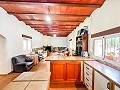 Prachtig veld met renovatiepotentieel in Almansa in Real Estate Alicante