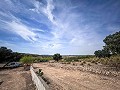 Prachtig veld met renovatiepotentieel in Almansa in Real Estate Alicante