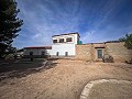 Prachtig veld met renovatiepotentieel in Almansa in Real Estate Alicante