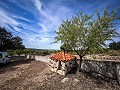 Prachtig veld met renovatiepotentieel in Almansa in Real Estate Alicante