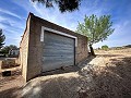 Prachtig veld met renovatiepotentieel in Almansa in Real Estate Alicante