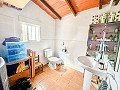 Prachtig veld met renovatiepotentieel in Almansa in Real Estate Alicante