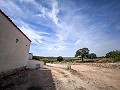 Prachtig veld met renovatiepotentieel in Almansa in Real Estate Alicante