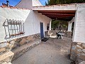 Prachtig veld met renovatiepotentieel in Almansa in Real Estate Alicante