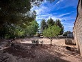 Prachtig veld met renovatiepotentieel in Almansa in Real Estate Alicante