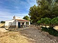 Prachtig veld met renovatiepotentieel in Almansa in Real Estate Alicante
