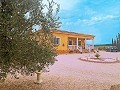Casa de 3 dormitorios y 2 baños en Torre del Rico in Real Estate Alicante