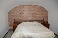 4 Bedroom cave house on huge plot in Real Estate Alicante