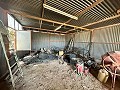 Charming country house to renovate in Monóvar in Real Estate Alicante