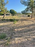 Land in Ubeda in Real Estate Alicante