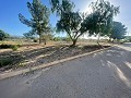 Land in Ubeda in Real Estate Alicante