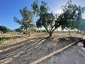 Land in Ubeda in Real Estate Alicante