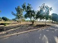 Land in Ubeda in Real Estate Alicante