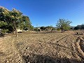 Land in Ubeda in Real Estate Alicante