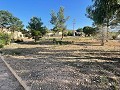 Land in Ubeda in Real Estate Alicante