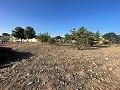 Land in Ubeda in Real Estate Alicante