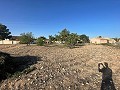 Land in Ubeda in Real Estate Alicante