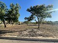 Land in Ubeda in Real Estate Alicante