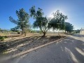 Land in Ubeda in Real Estate Alicante