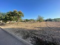 Land in Ubeda in Real Estate Alicante