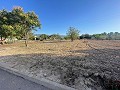 Land in Ubeda in Real Estate Alicante