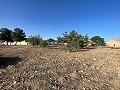 Land in Ubeda in Real Estate Alicante