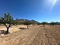 Lovely building plot in Macisvenda in Real Estate Alicante