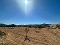 Lovely building plot in Macisvenda in Real Estate Alicante