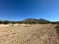 Lovely building plot in Macisvenda in Real Estate Alicante