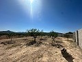 Lovely building plot in Macisvenda in Real Estate Alicante
