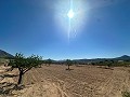 Lovely building plot in Macisvenda in Real Estate Alicante