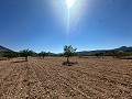 Lovely building plot in Macisvenda in Real Estate Alicante