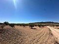 Huge building plot in Cañada Del Trigo in Real Estate Alicante
