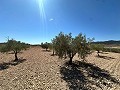 Huge building plot in Cañada Del Trigo in Real Estate Alicante