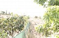 4 Bed Village House with Land in Real Estate Alicante