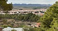 Höhlenhaus mit 3 Schlafzimmern in der Nähe von Pinoso in Real Estate Alicante