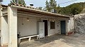 Höhlenhaus mit 3 Schlafzimmern in der Nähe von Pinoso in Real Estate Alicante